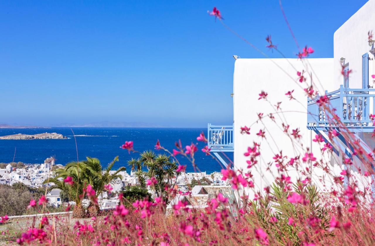 Vencia Boutique Hotel Mykonos Town Zewnętrze zdjęcie